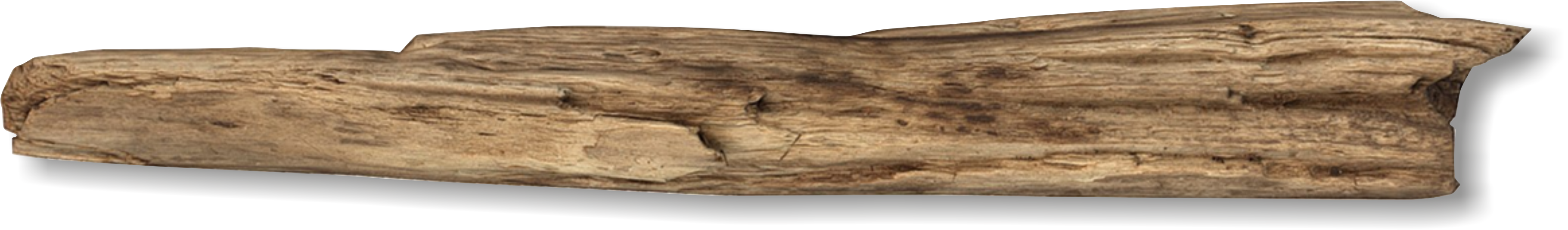plank wood